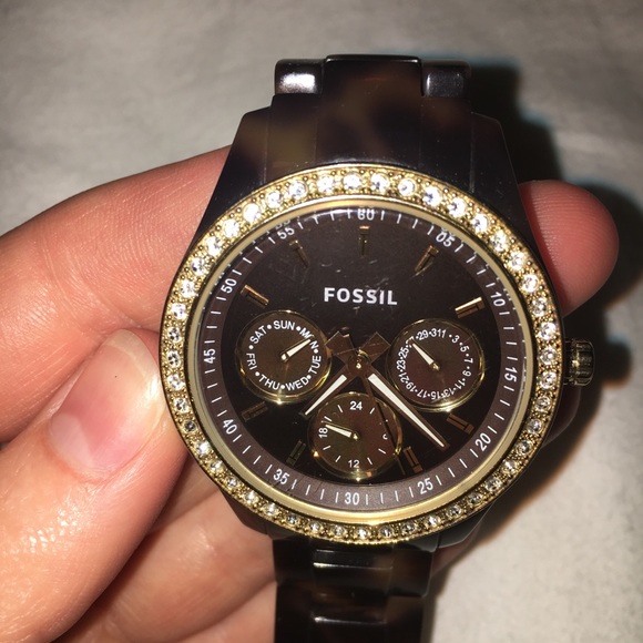 Fossil Tortoise Watch on Sale, 58% OFF 
